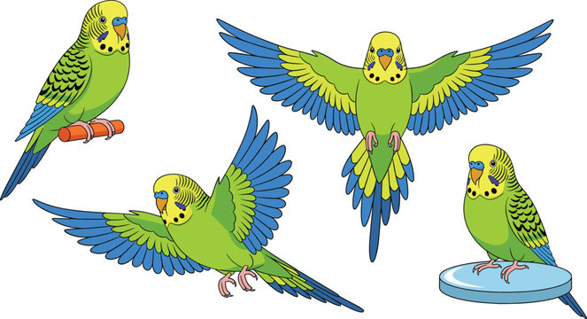 Green budgerigar parakeet character set with flying and sitting poses cartoon pet bird vector illustration