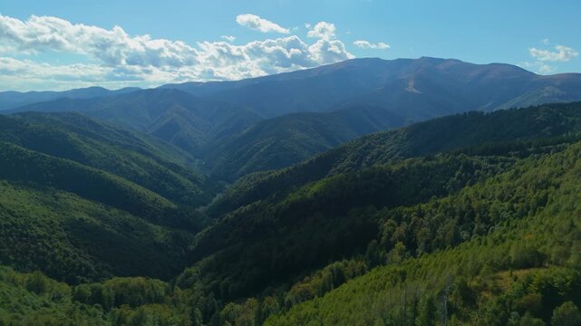 High Altitude Drone Shot Revealing Layers of Forested Mountains Fading into Atmospheric Blue Mist over Fagus sylvatica Picea abies Wilderness