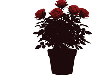 Obraz premium A potted plant with vibrant red roses and lush green leaves on a white background