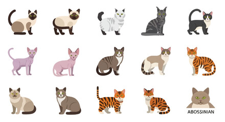 Fototapeta premium Colorful set of popular cat breeds represented as simple flat vector icons, showing different feline faces and features isolated on a clean white background.