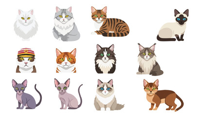 Naklejka premium Popular domestic cat breed heads and faces are presented in a colorful 2D flat vector set, featuring clean, minimalist icons isolated against a bright white background.