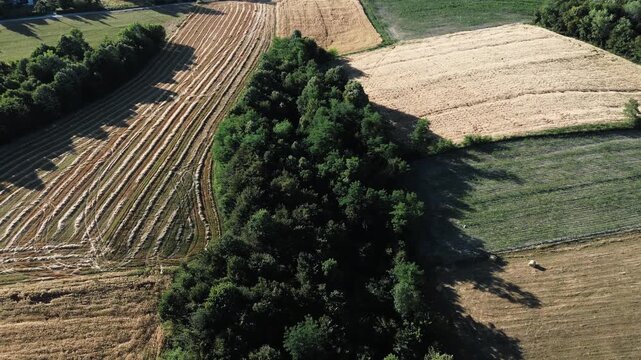 Aerial view of cultivated farmland with harvested fields, green forest strip and rural landscape in Serbia during summer, showing natural patterns and contrast between agriculture and woodland