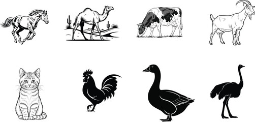 Obraz premium Animal silhouettes and drawings including horse camel goat cat rooster duck and ostrich silhouette
