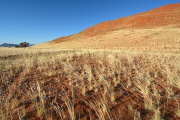 Sandw&uuml;ste im Namib-Naukluft-Nationalpark in Namibia