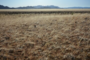 Sandw&uuml;ste im Namib-Naukluft-Nationalpark in Namibia