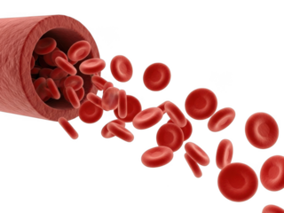 Red blood cells flowing from vein isolated on transparent background