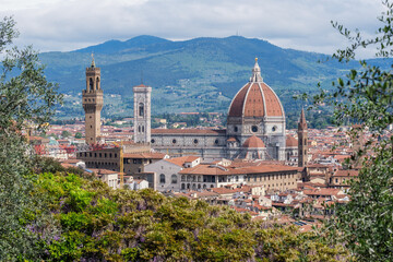 Fototapeta premium Florence city skyline featuring duomo cathedral and palazzo vecchio