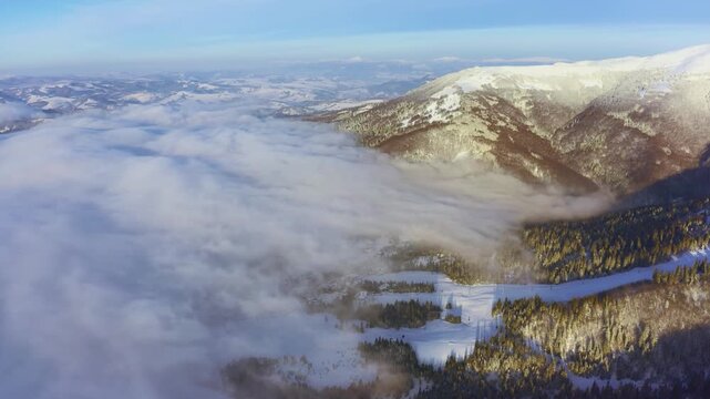 High snowy mountain covered with evergreen fir trees on a sunny cold day