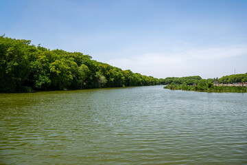 Fototapeta premium View of Costanera Sur Reserve - Buenos Aires, Argentina