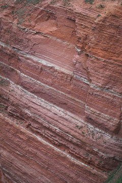Steep red sandstone cliffs of Heligoland teeming with nesting seabirds. A massive Northern Gannet and Guillemot colony ideal for wildlife and marine biology concepts.