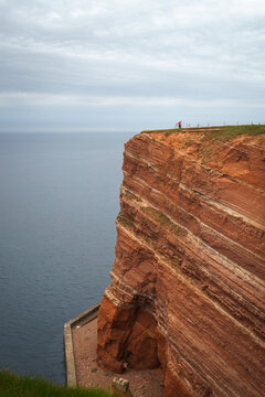 Steep red sandstone cliffs of Heligoland teeming with nesting seabirds. A massive Northern Gannet and Guillemot colony ideal for wildlife and marine biology concepts.