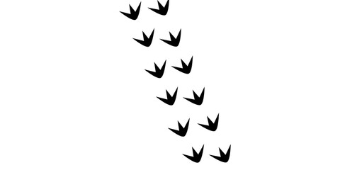 Black chicken footprint trail silhouette on white background, farm animal bird track vector illustration © Tiles
