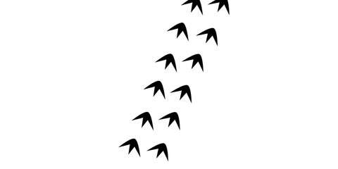 Diagonal trail of bird footprints in black silhouette, farm animal poultry tracks on white background © Tiles