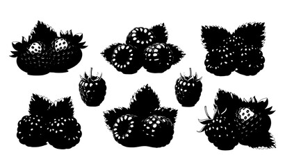 3D berry fruits realistic food vector for packaging design © Hosneara