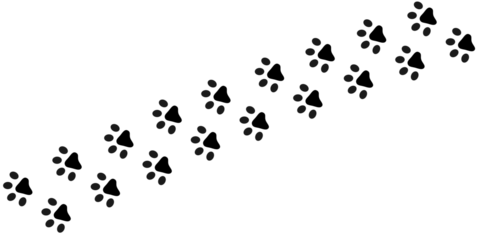 Long Ascending Trail of Animal Footprints, Tracking Path Silhouette