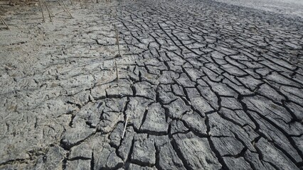 Parched ground revealing drought's harsh impact, cracked terrain symbolizing environmental stress...