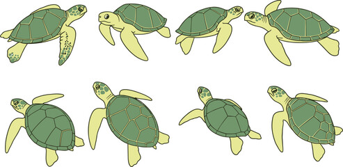 Sea turtle swimming poses vector set with marine animal illustrations isolated on white background © MdRazaul