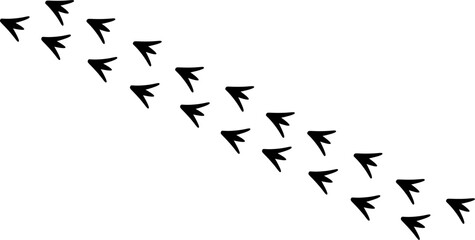 Bird footprint trail vector illustration, black duck or goose tracks isolated on white background