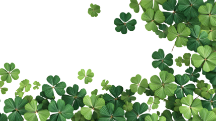 A vibrant arrangement of four leaf clovers against a solid black background
