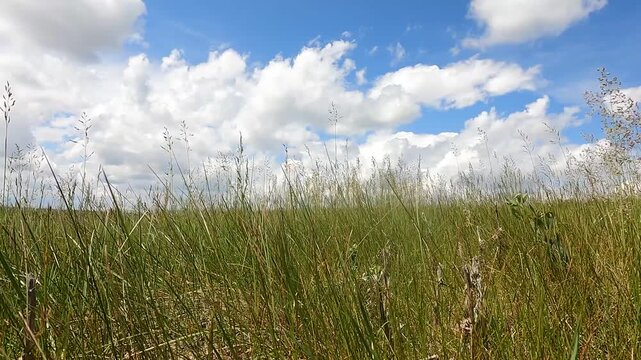 Beautiful aerial footage capturing a bright blue sky with soft clouds, paired with gentle glass pieces or objects blowing across the ground.