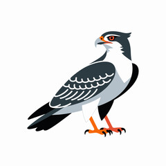 Fototapeta premium A striking illustration of a hawk perched majestically, symbolizing freedom and keen observation, beautifully showcasing the majesty of wildlife in a vibrant art style.