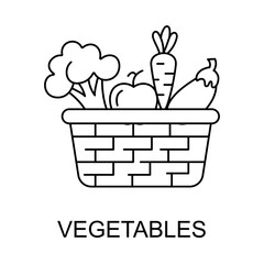 Organic Vegetable Food for Balanced Diet Outline