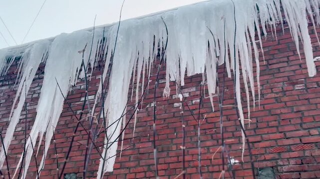 Large icicles hang from the roof of the building. Blue sky close up winter footage