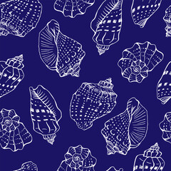 Seashells seamless pattern vector illustration. Hand drawn.
