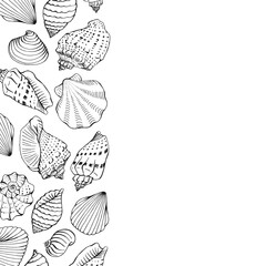 Frame with seashells with copy space for design or message.  Hand drawn