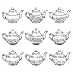 Set with teapot. Medicinal tea. Hand drawn vector illustration.
