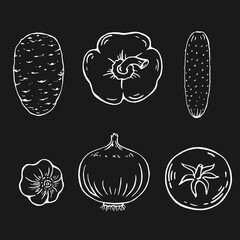 Set of vegetables. Tomato, onion, potato, pepper, garlic, cucumber. Hand drawn vector illustration.
