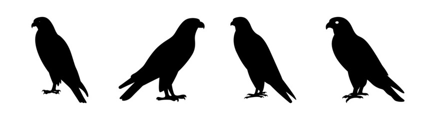 Obraz premium Four birds in silhouette