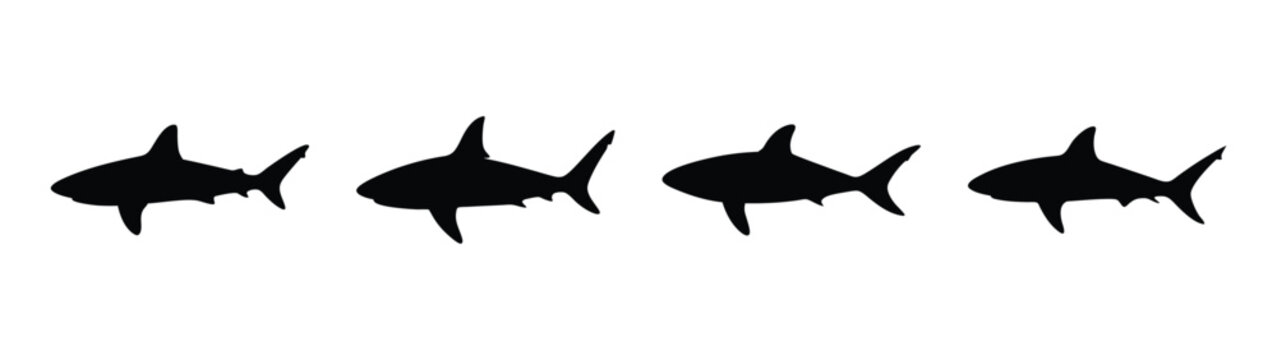 Basic vector file illustration