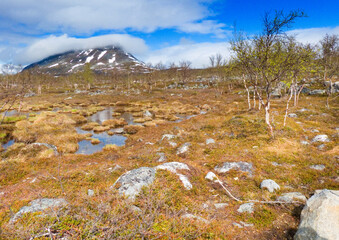 Saanatunturi mountain in in Enonteki&ouml;, Finland