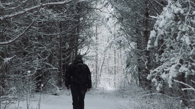 walking in the snow