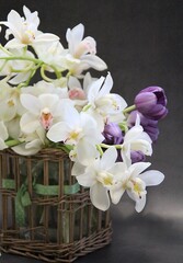 orchid flowers, cut flowers, cut white orchid branches, purple tulip, flower bouquet, lush cream orchids