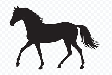 Obraz premium black silhouette horse vector design with different style isolated on transparent background