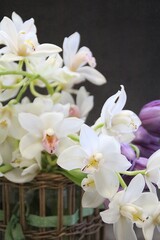 orchid flowers, cut flowers, cut white orchid branches, purple tulip, flower bouquet, lush cream orchids