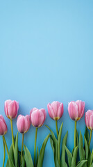 Pink tulips on blue minimal background
