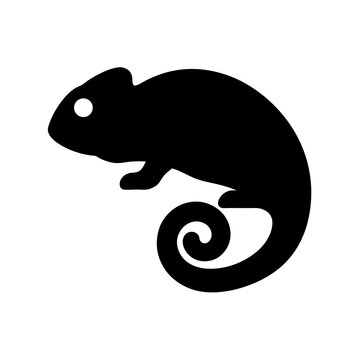 Silhouette of a chameleon