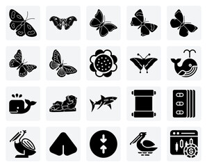 A Diverse Group Of Butterflies And Moths &ndash; With The Stunning Blue Morpho, Giant Atlas Moth, And Delicate Sooty Copper