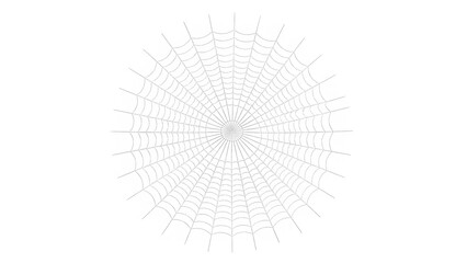 A perfectly symmetrical spider web viewed straight-on from the center, forming a precise radial and circular geometric pattern. Ultra-minimalist design with thin, delicate silver-gray lines on a pure 
