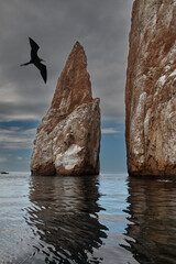 Kicker Rock, also known as León Dormido, is one of the most iconic landmarks in the Galápagos...