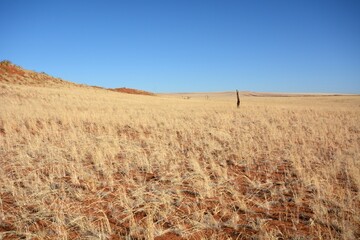 Sandw&uuml;ste im Namib-Naukluft-Nationalpark in Namibia
