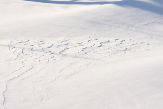 Even surface of white snow with natural wind-formed patterns. Minimalist winter background with textured snow, soft shadows and clean copy space for design and text. - Powered by Adobe