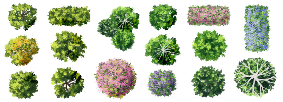 Vector set of Top view green tree for outdoor plan or map and architecture drawing, elements for environment and garden ,botanical elements ,Blooming flowers in spring,tropical plants element