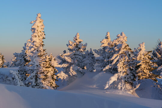 Snowy winter in the ski resort of Sheregesh in Siberia, Russia.