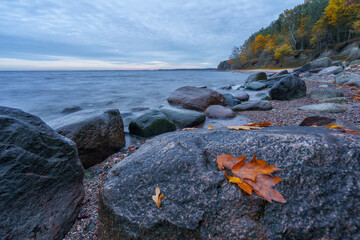 The coast of the Baltic Sea near the city of Kaliningrad in autumn.