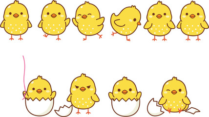 Cute baby chick cartoon character set with walking poses and hatching sequence isolated on white © Rumi