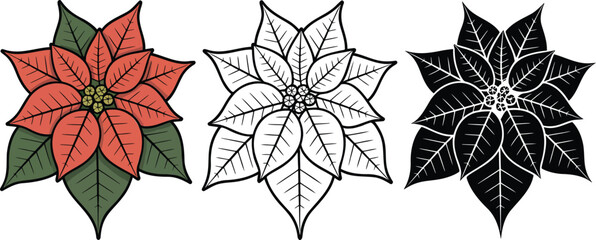Fototapeta premium Poinsettia plant silhouette & Outline and illustration set isolated on transparent background